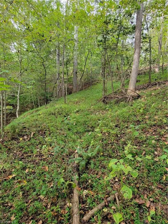 1849 Mission Extension Road Danbury, NC 27016