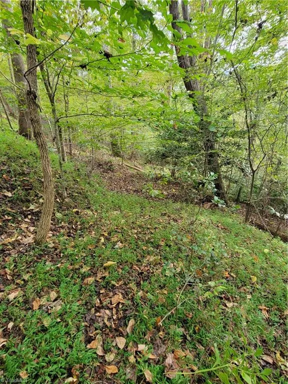 1849 Mission Extension Road Danbury, NC 27016