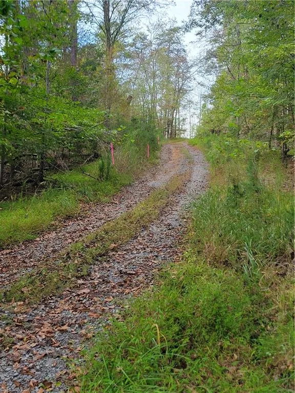 1849 Mission Extension Road Danbury, NC 27016