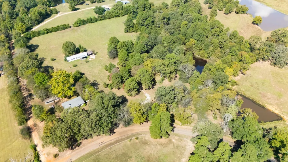 853 County Road 2730 Pittsburg, TX 75686