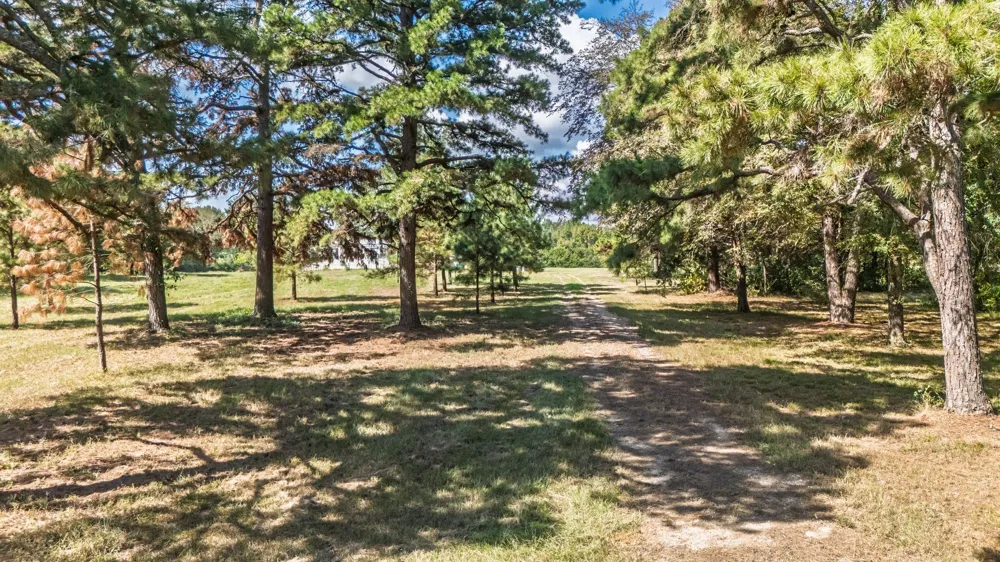853 County Road 2730 Pittsburg, TX 75686