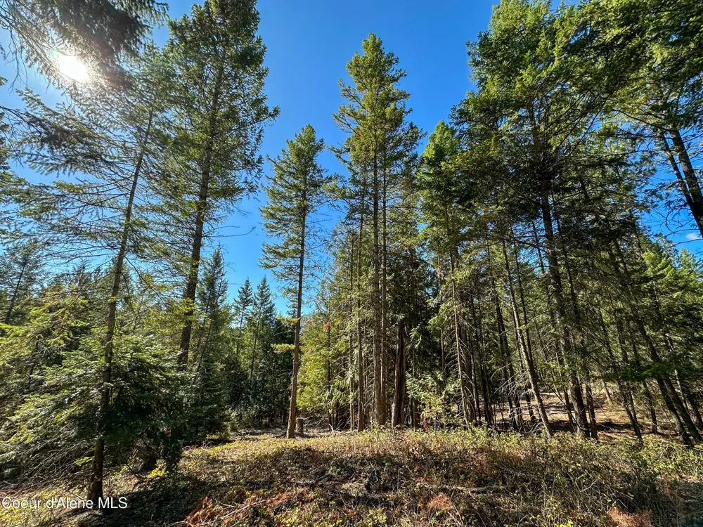 NNA Santa Fe Lane Bonners Ferry, ID 83805