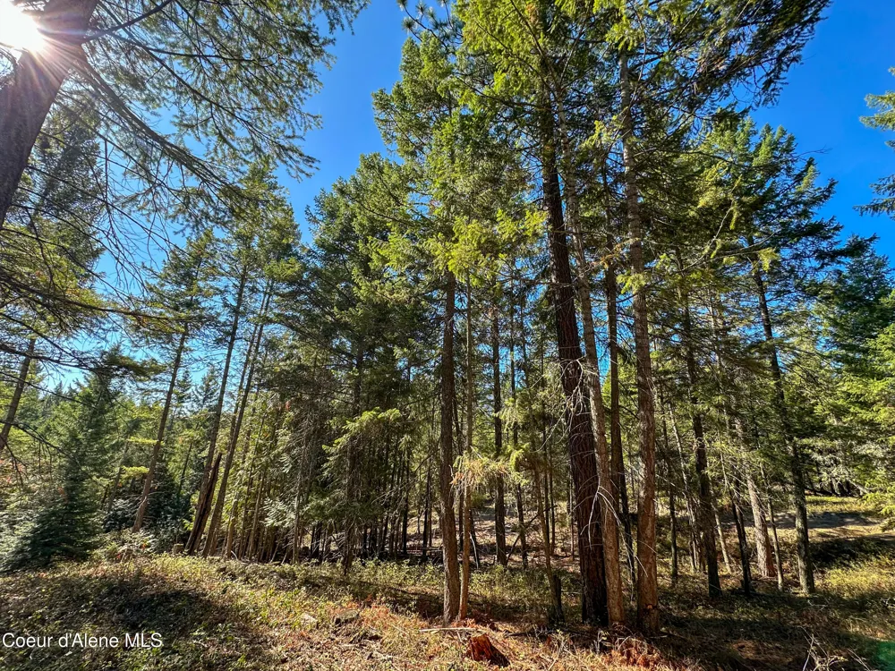 NNA Santa Fe Lane Bonners Ferry, ID 83805