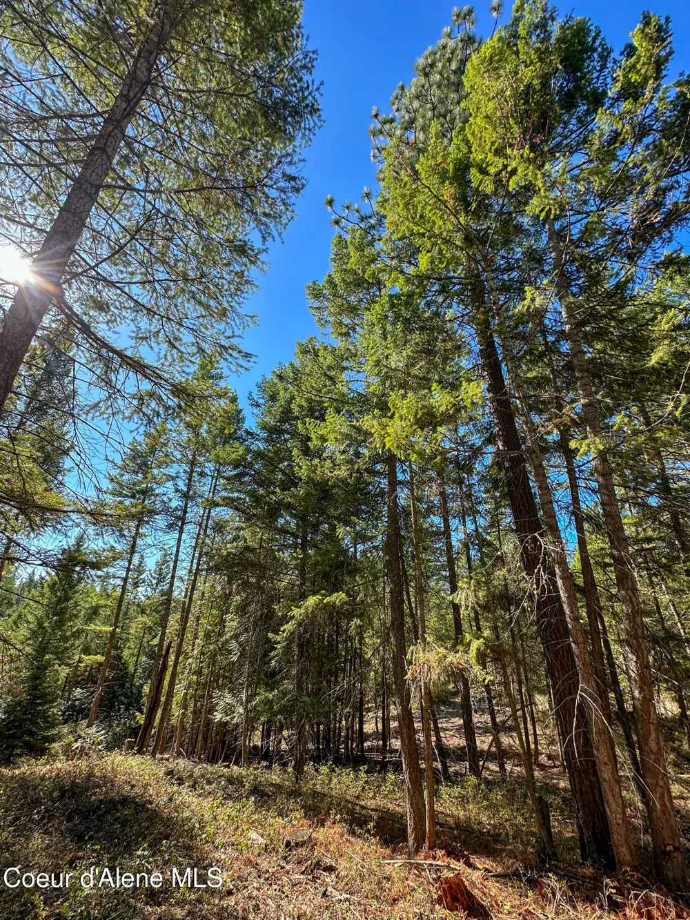 NNA Santa Fe Lane Bonners Ferry, ID 83805