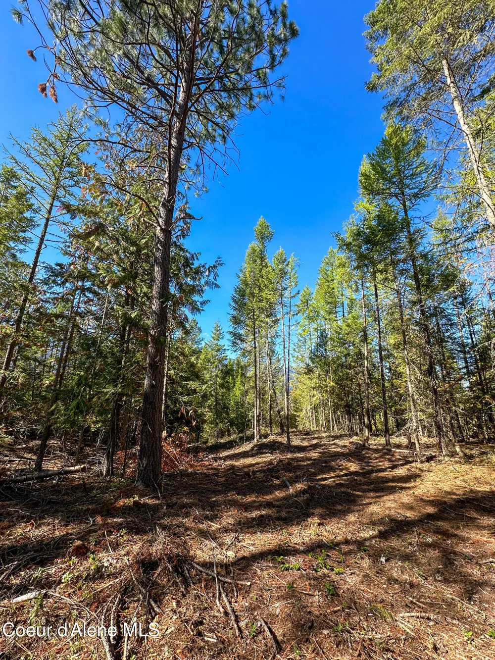 NNA Santa Fe Lane Bonners Ferry, ID 83805