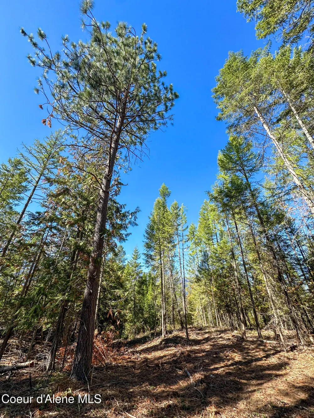 NNA Santa Fe Lane Bonners Ferry, ID 83805