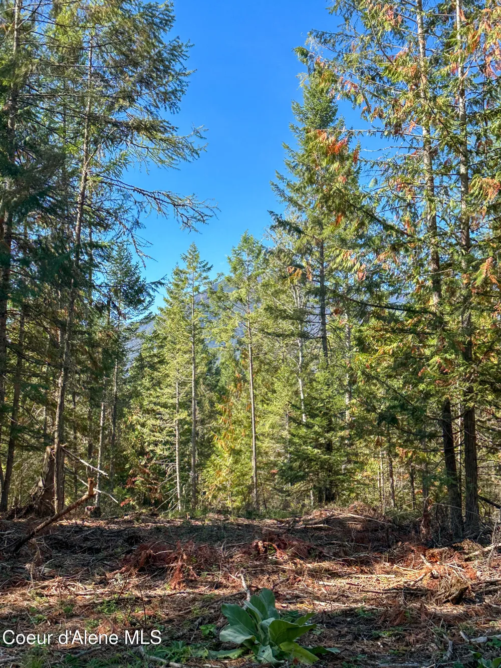 NNA Santa Fe Lane Bonners Ferry, ID 83805