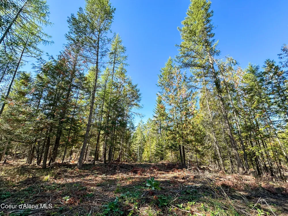 NNA Santa Fe Lane Bonners Ferry, ID 83805