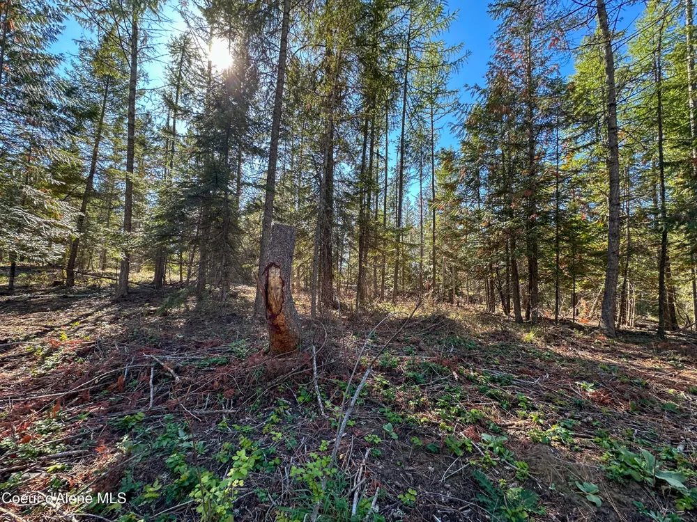NNA Santa Fe Lane Bonners Ferry, ID 83805