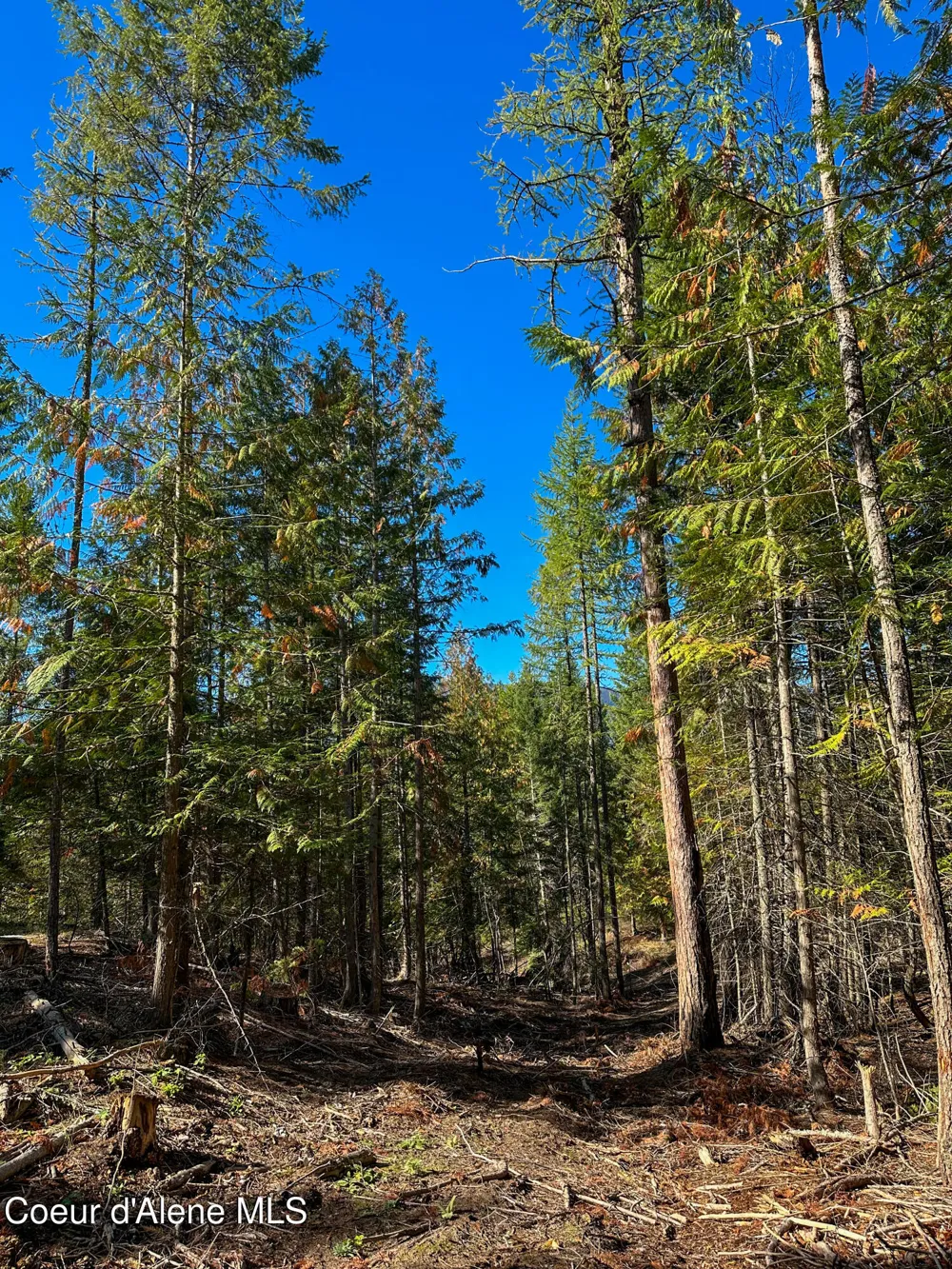 NNA Santa Fe Lane Bonners Ferry, ID 83805