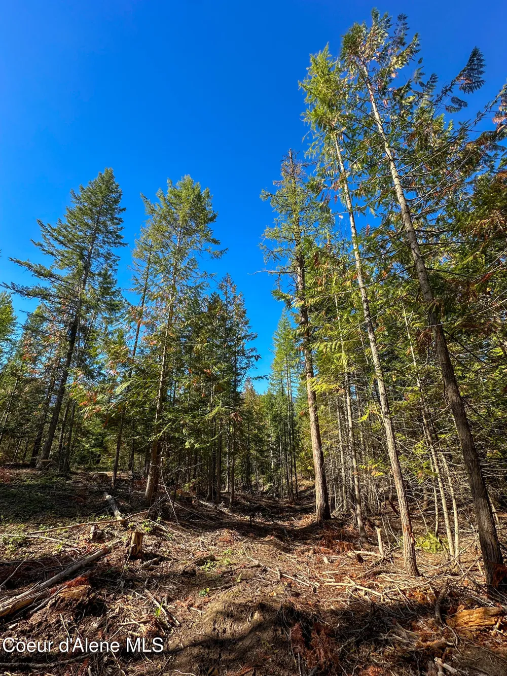NNA Santa Fe Lane Bonners Ferry, ID 83805
