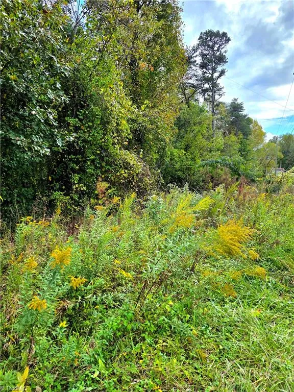 Lot 13 Mountain View Road Hays, NC 28635