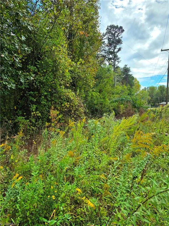 Lot 13 Mountain View Road Hays, NC 28635