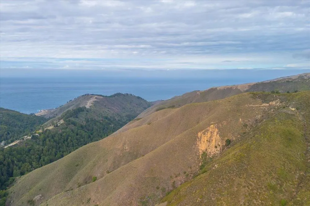 Garrapatos Redwoods Trail Carmel, CA 93923