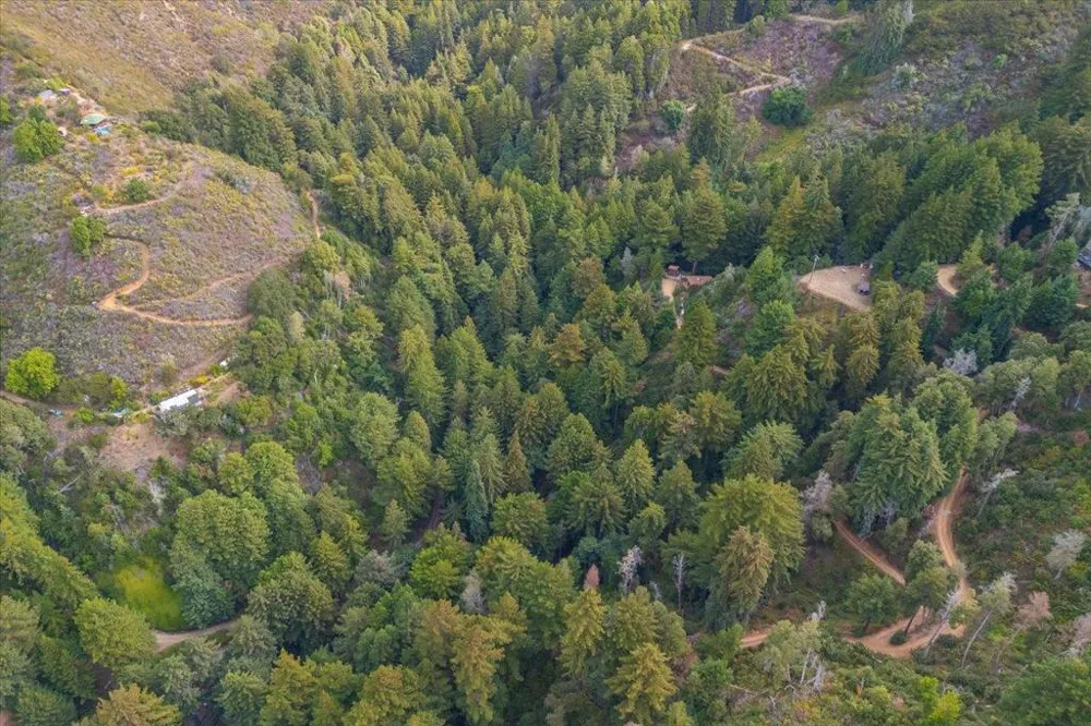 Garrapatos Redwoods Trail Carmel, CA 93923
