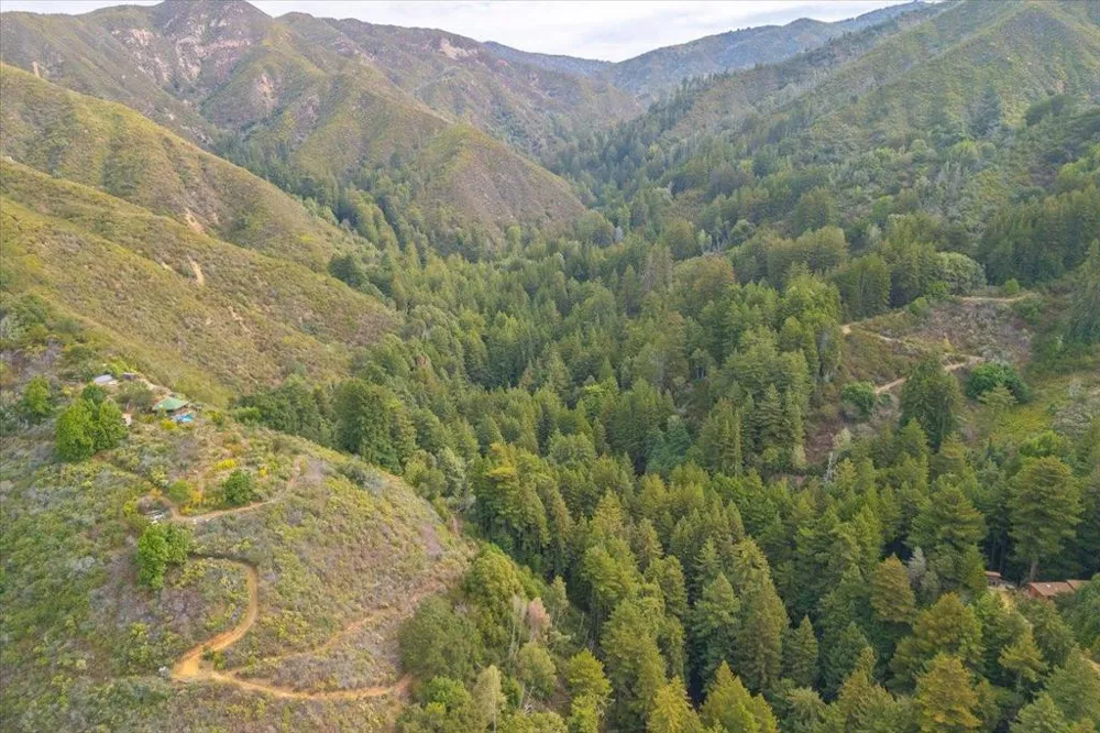 Garrapatos Redwoods Trail Carmel, CA 93923