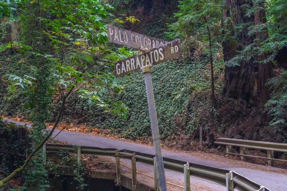 Garrapatos Redwoods Trail Carmel, CA 93923
