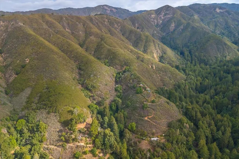 Garrapatos Redwoods Trail Carmel, CA 93923