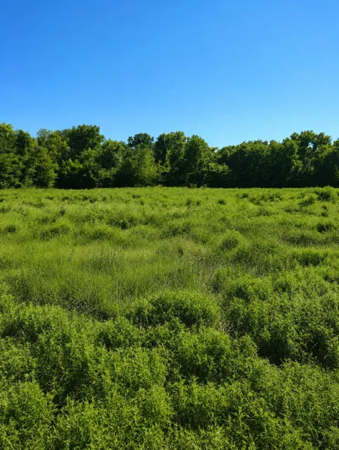 2653 Private Road 4830 #5