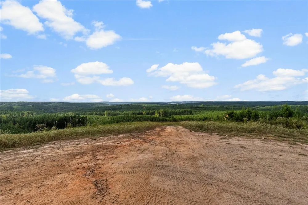 0 Fox Lane Savannah, TN 38372