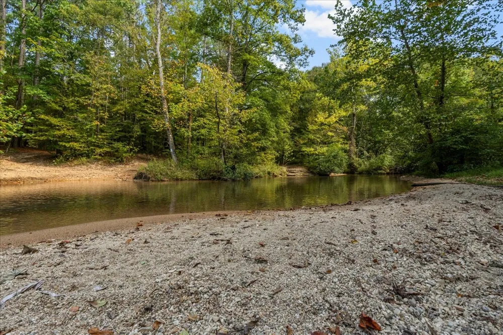 0 Fox Lane Savannah, TN 38372