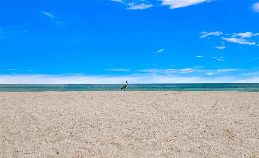 8405 BAYSHORE DRIVE Treasure Island, FL 33706