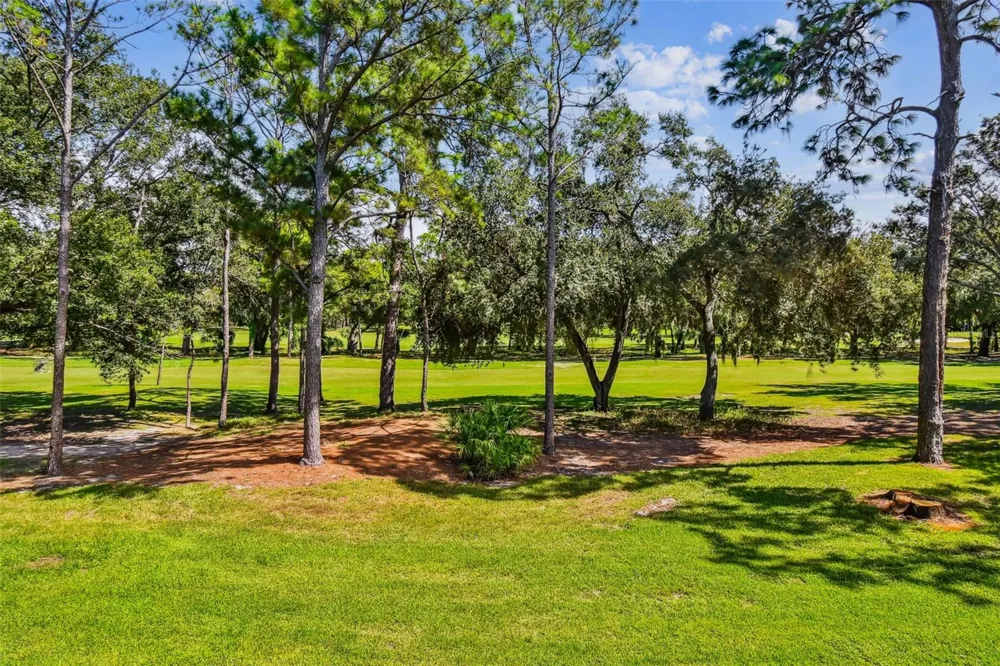36750 US HIGHWAY 19 #19213 Palm Harbor, FL 34684