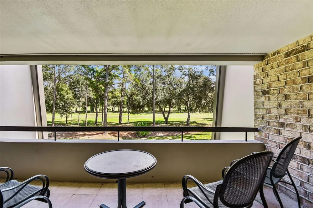 36750 US HIGHWAY 19 #19213 Palm Harbor, FL 34684