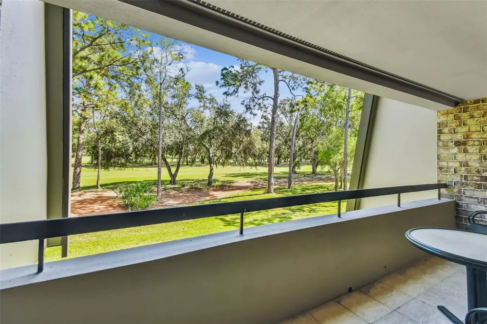 36750 US HIGHWAY 19 #19213 Palm Harbor, FL 34684