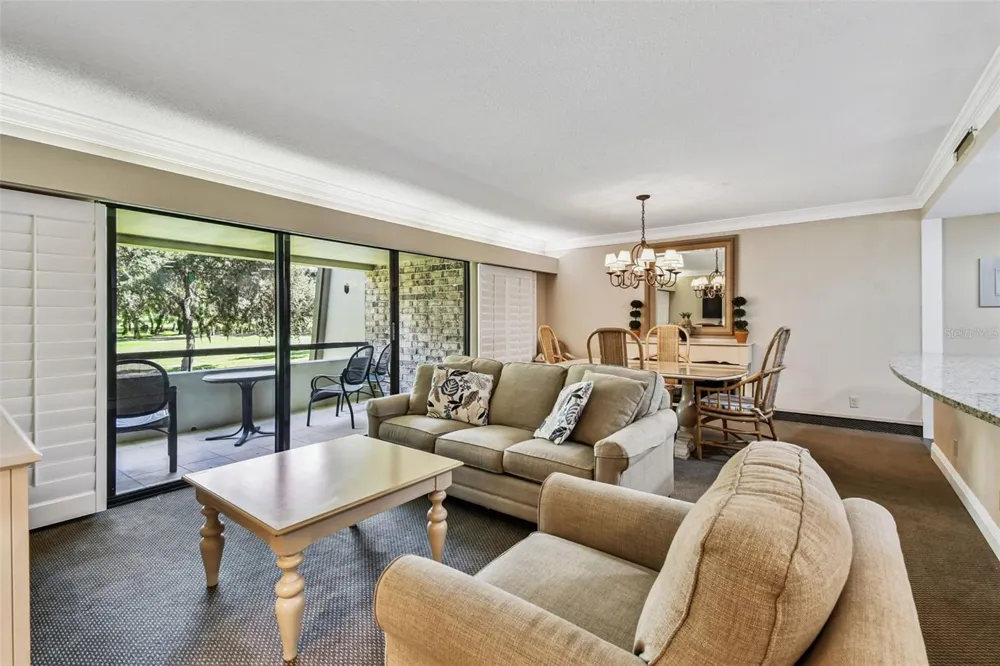 36750 US HIGHWAY 19 #19213 Palm Harbor, FL 34684