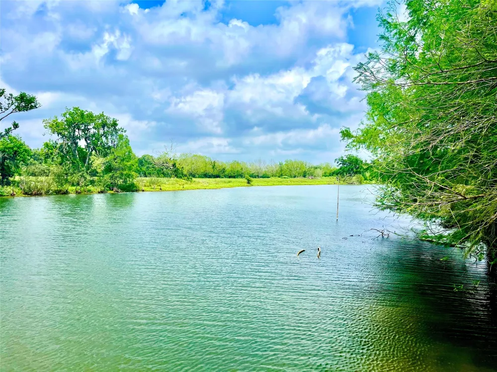 Farm To Market 521 Cedar Lane, TX 77415