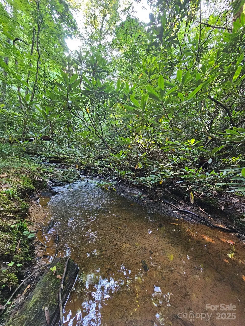 0000 Happy Acres Road Brevard, NC 28712