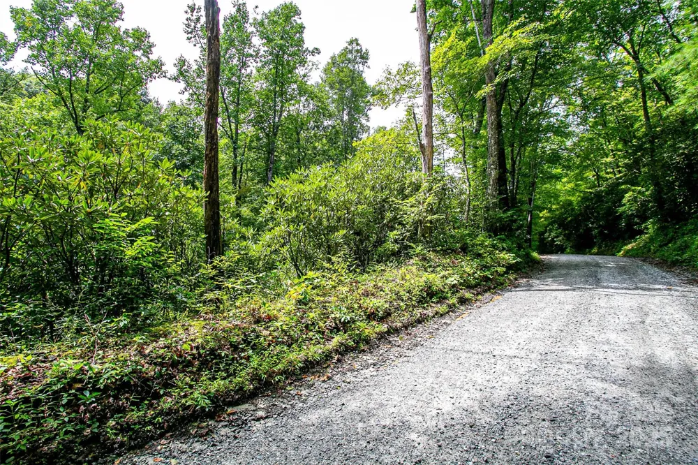 0000 Happy Acres Road Brevard, NC 28712