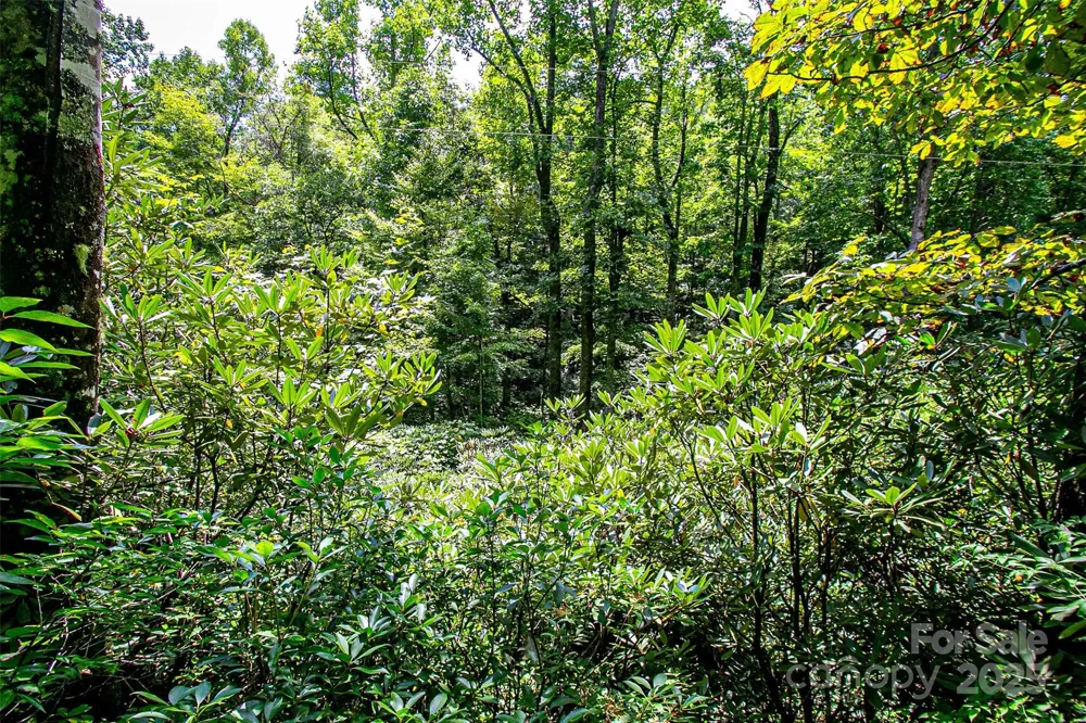 0000 Happy Acres Road Brevard, NC 28712