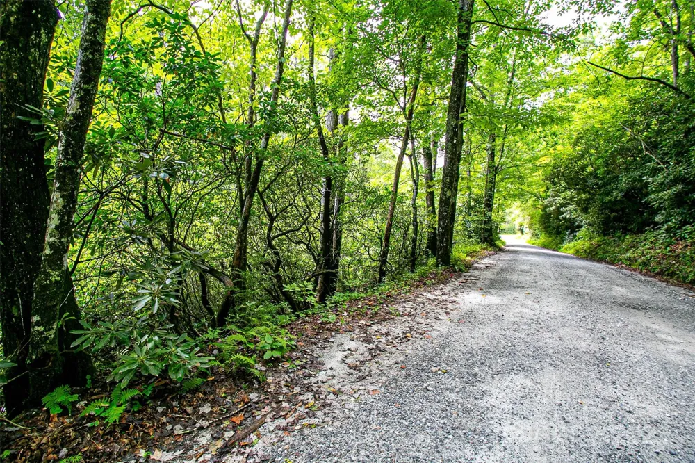 0000 Happy Acres Road Brevard, NC 28712