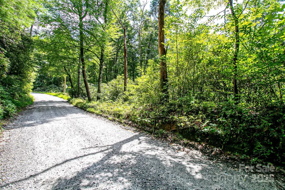 0000 Happy Acres Road Brevard, NC 28712