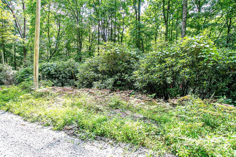 0000 Happy Acres Road Brevard, NC 28712