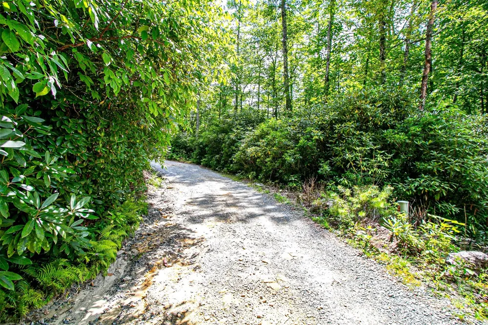 0000 Happy Acres Road Brevard, NC 28712
