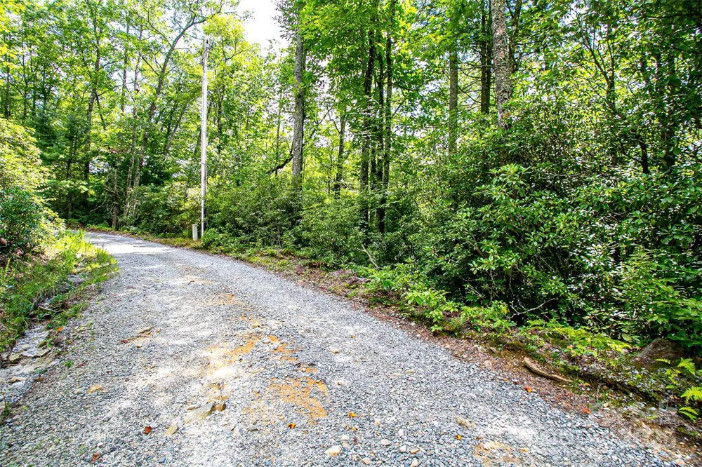 0000 Happy Acres Road Brevard, NC 28712