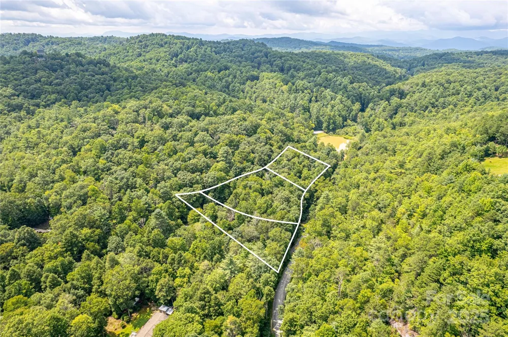 0000 Happy Acres Road Brevard, NC 28712