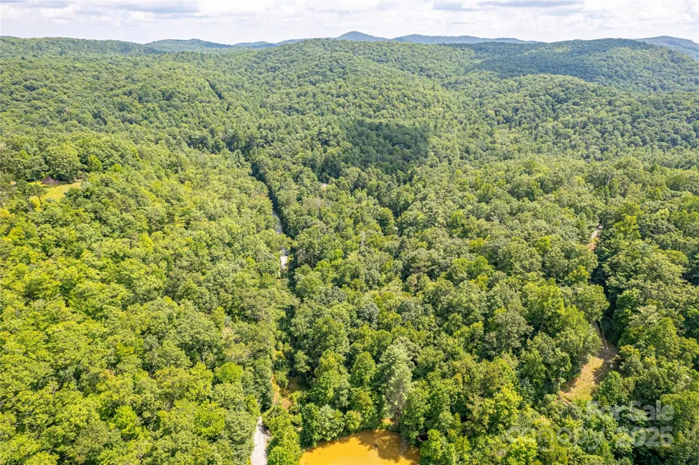 0000 Happy Acres Road Brevard, NC 28712