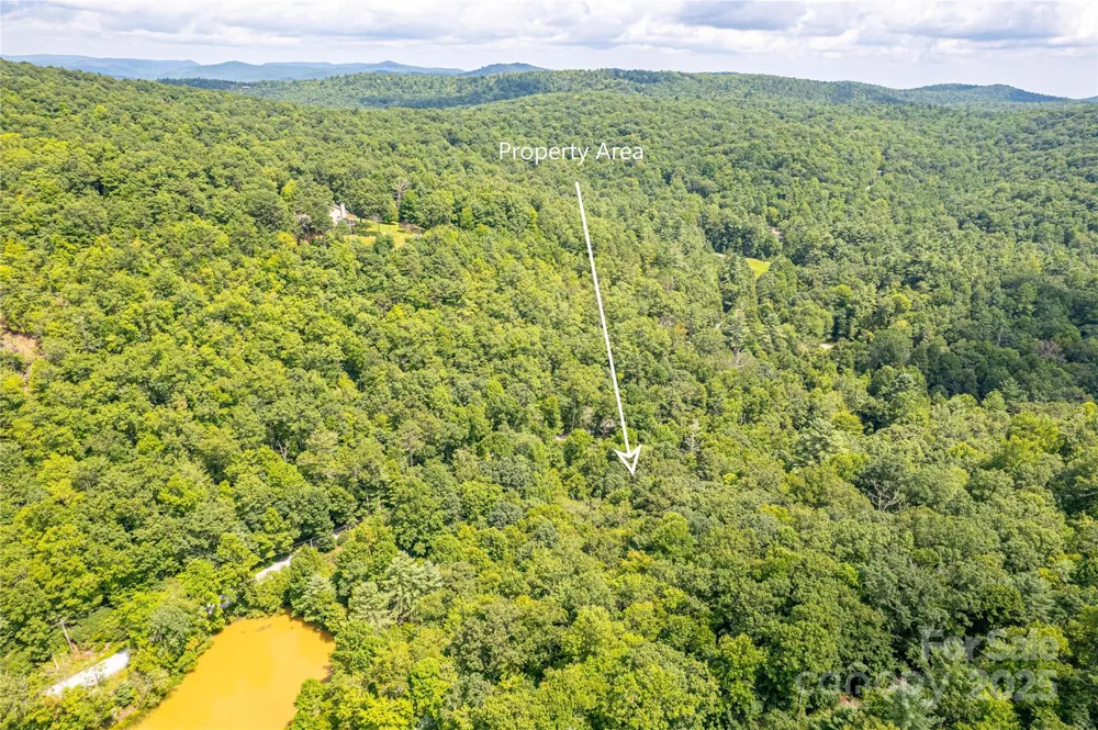 0000 Happy Acres Road Brevard, NC 28712