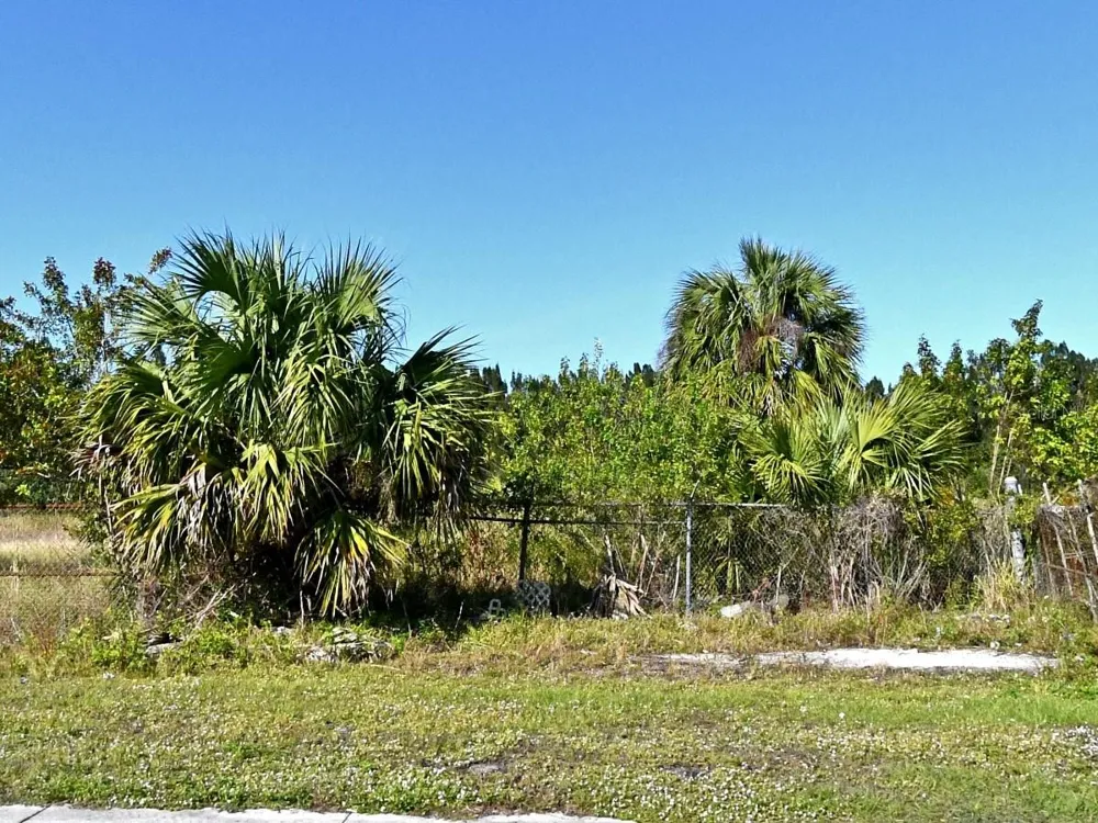 3214 AVENUE D Fort Pierce, FL 34947