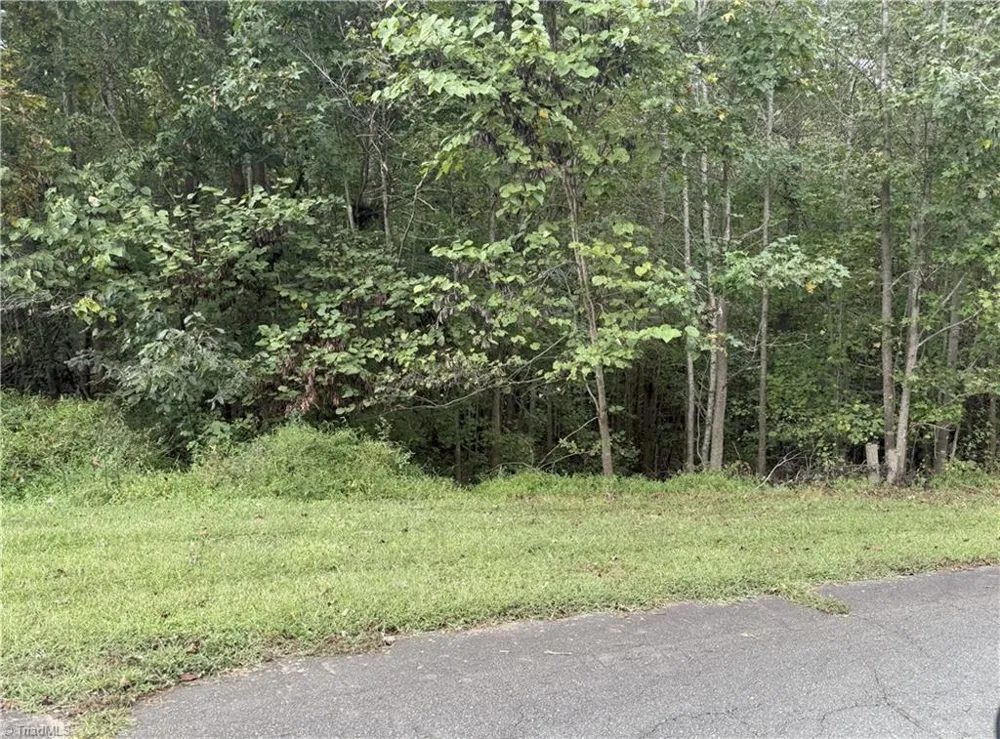 7347 Sun Harbor Drive Browns Summit, NC 27214