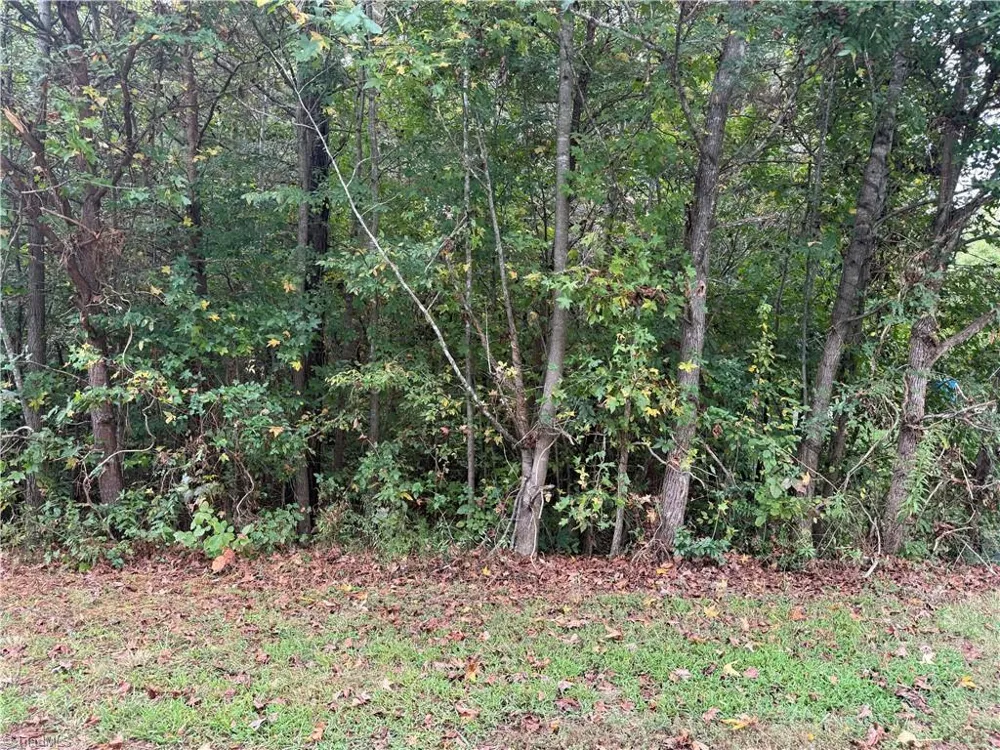 7345 Sun Harbor Drive Browns Summit, NC 27214