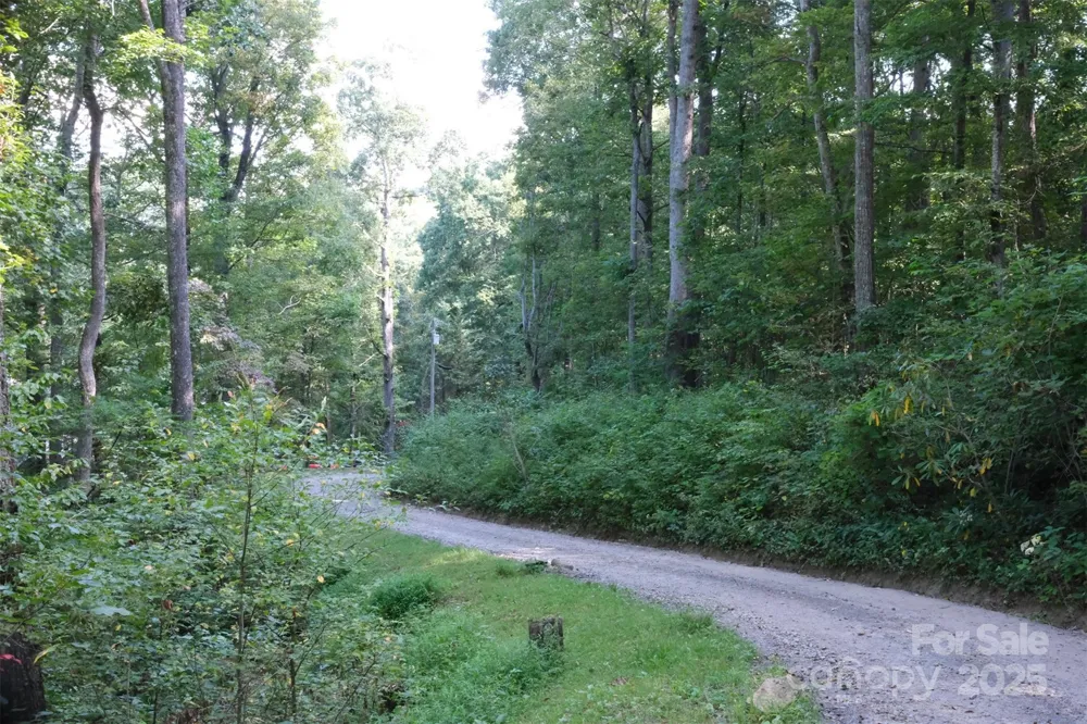 Lot: 12 CAPERTON POINT ROAD #12 Swannanoa, NC 28778