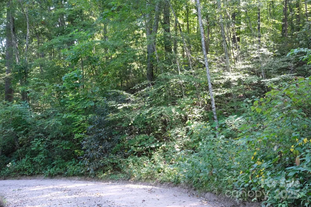 Lot: 12 CAPERTON POINT ROAD #12 Swannanoa, NC 28778
