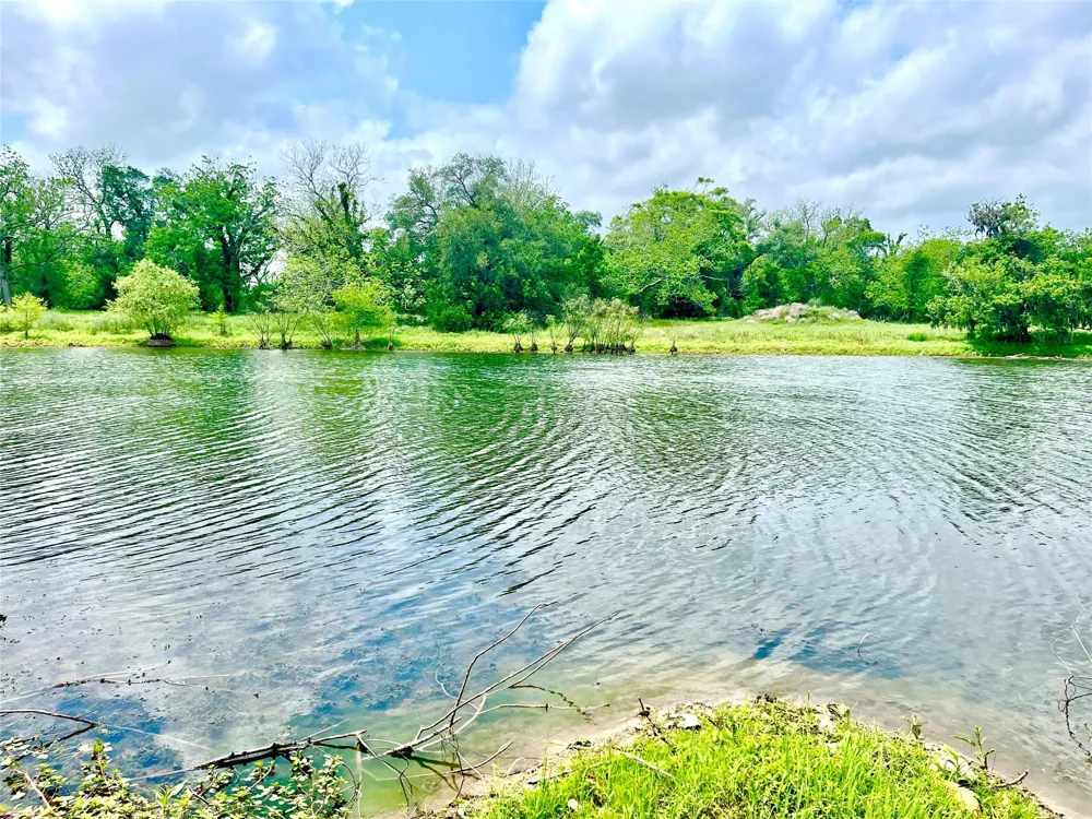 Fm521 Cedar Lane, TX 77415