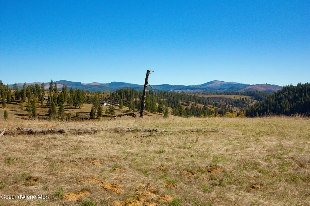 321 Clearwater Drive St. Maries, ID 83861