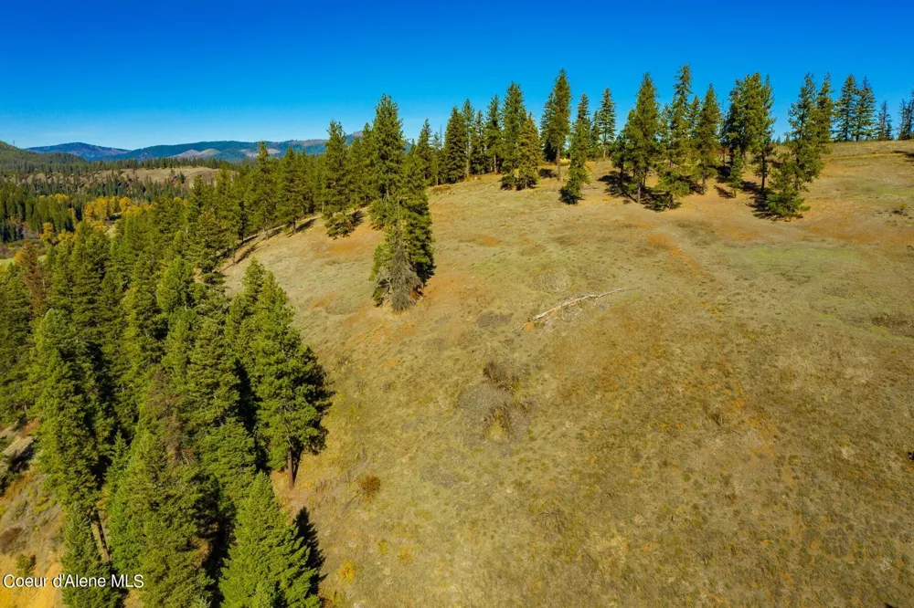 321 Clearwater Drive St. Maries, ID 83861